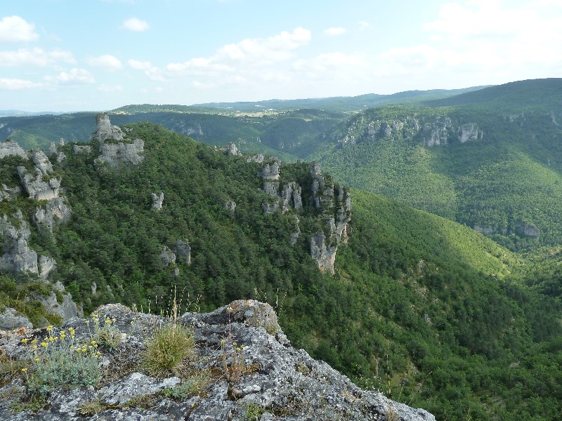 ../Images/2012-07-10-15h44m02 .jpg